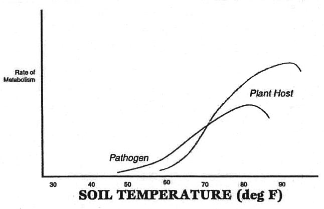 Soil Temperature vs Metabolism