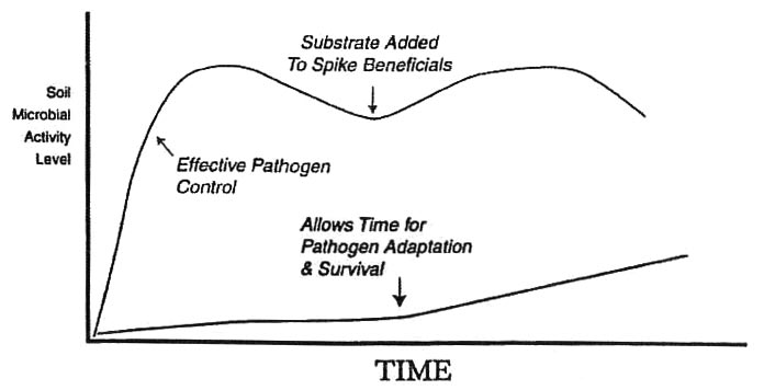 Soil Microbial Activity Level