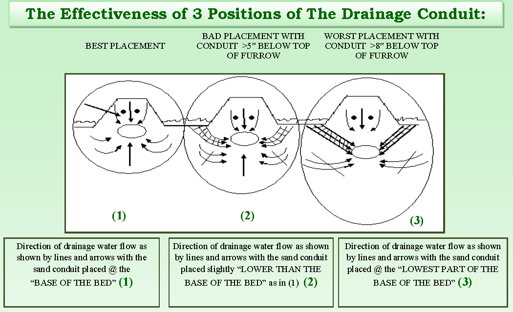 Effectiveness of 3 Positions for Strawberry Drainage Conduit