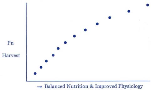 Balanced nutrition vs photosynthetic harvest